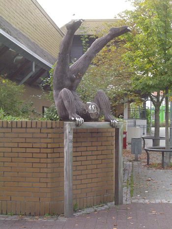 Bild
