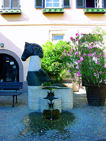 Brunnen