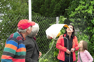 Günther Malisius, Manfred Bögle und Alexandra Ries (Foto: bep)
